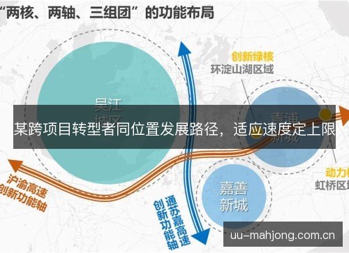 某跨项目转型者同位置发展路径,适应速度定上限 某跨项目转型者同位置发展路径,适应速度定上限